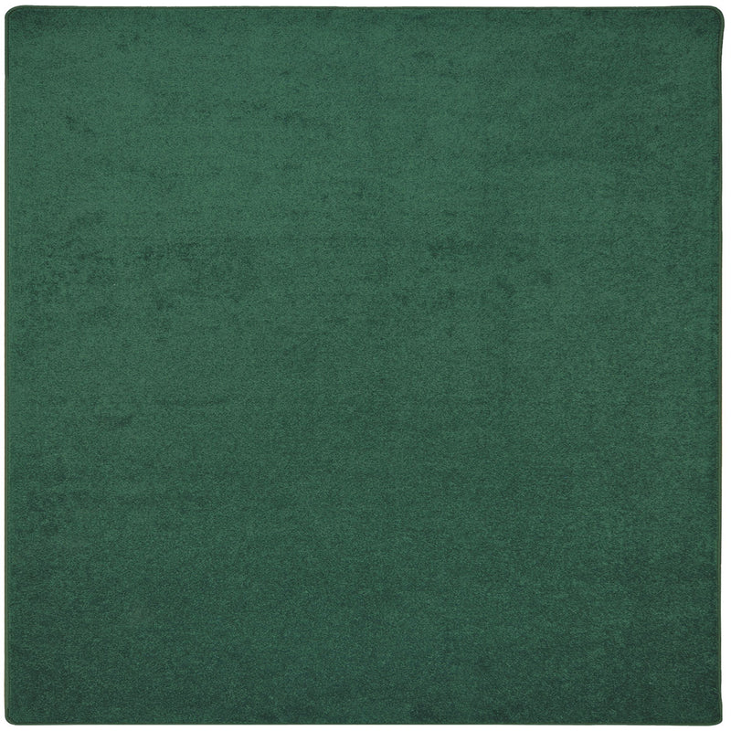 endurance_forest_square_faaf4369-8992-4456-8c41-4a05ae33e7c0