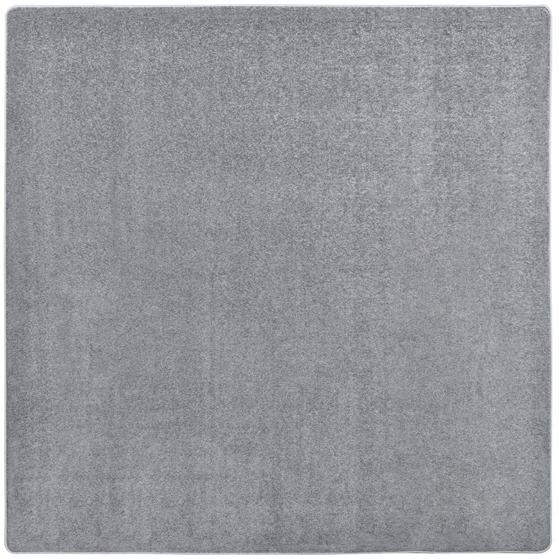 endurance_silver_square_7ca67988-9c56-4368-8027-930588ac495a
